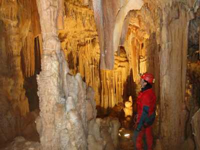 ...gi� dopo essersi appena calati si intravedono le prime stalattiti che pendono dalla sommit�, alcune delle quali hanno una calda sfumatura dorata per la presenza di ossidi ferrosi e manganese. Dal basso si innalzano invece le stalagmiti, che spesso si vanno a congiungere con le stalattiti dopo un "inseguimento" durato millenni, creando cos� le cosiddette "colonne"